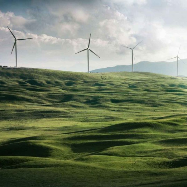 Energy Link,level 4 consultancy house, 7 bond street, dunedin, 03 479 2475, advanced procurement  (2)